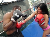 Mixed Boxing Gut Punch